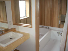 �����Ɛ���